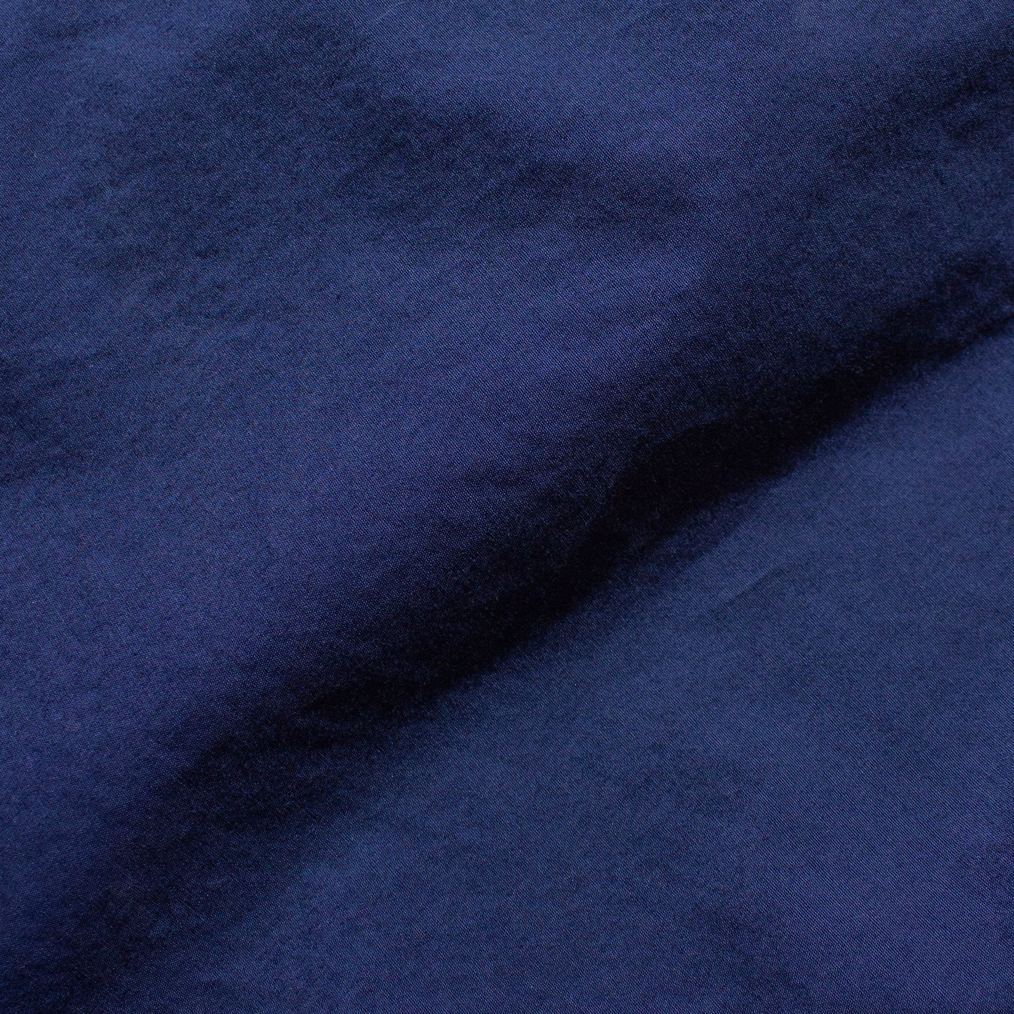 Pinpoint Oxford Cotton Regular Collar Shirt