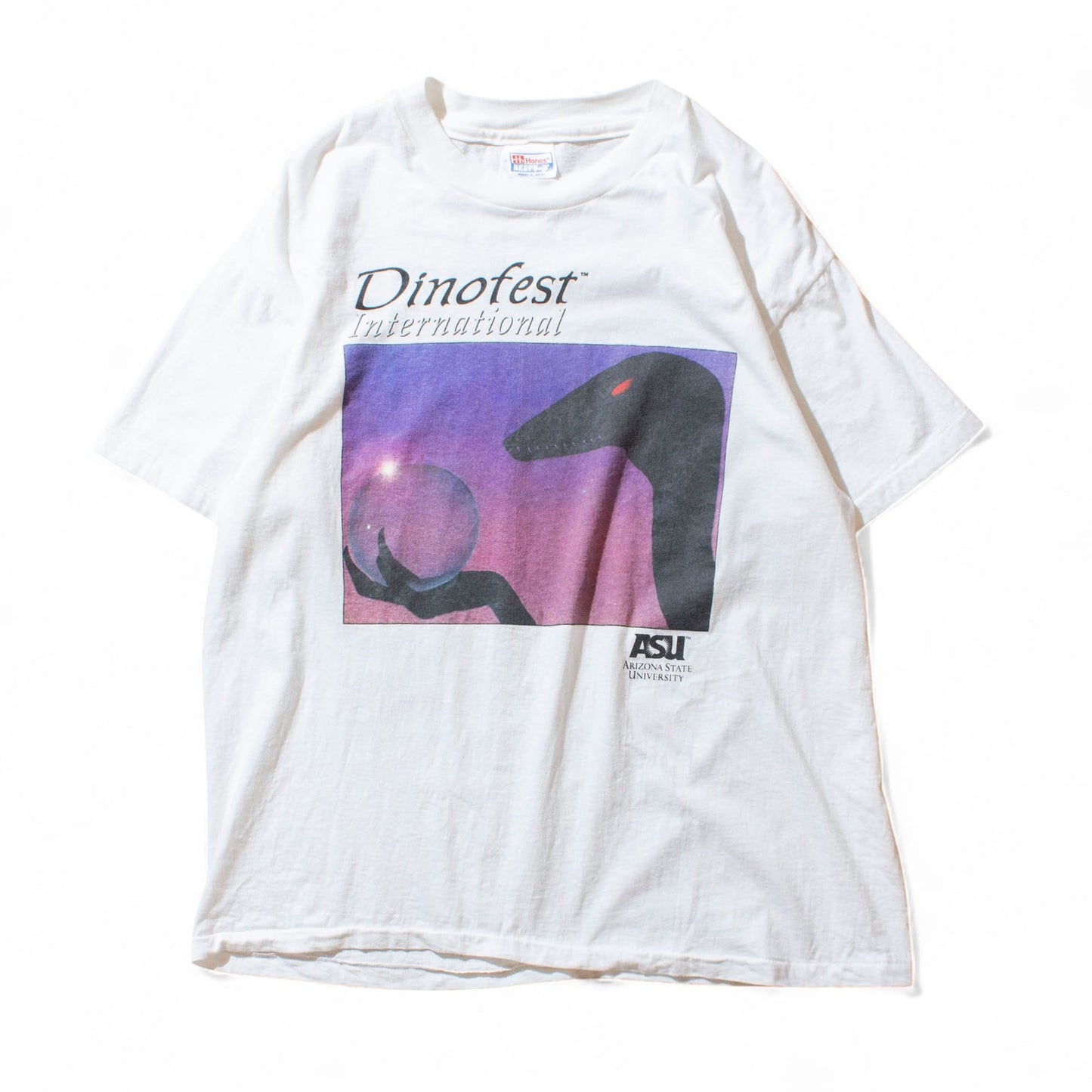 Hanes 90's Dinofest T-Shirt