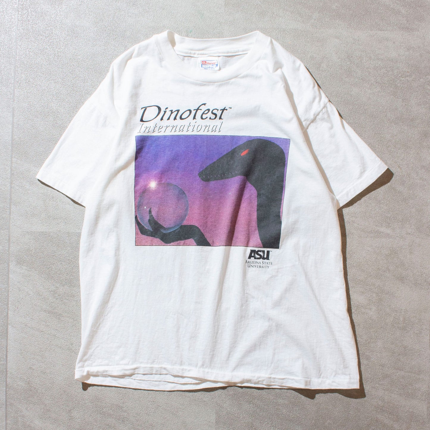 Hanes 90's Dinofest T-Shirt