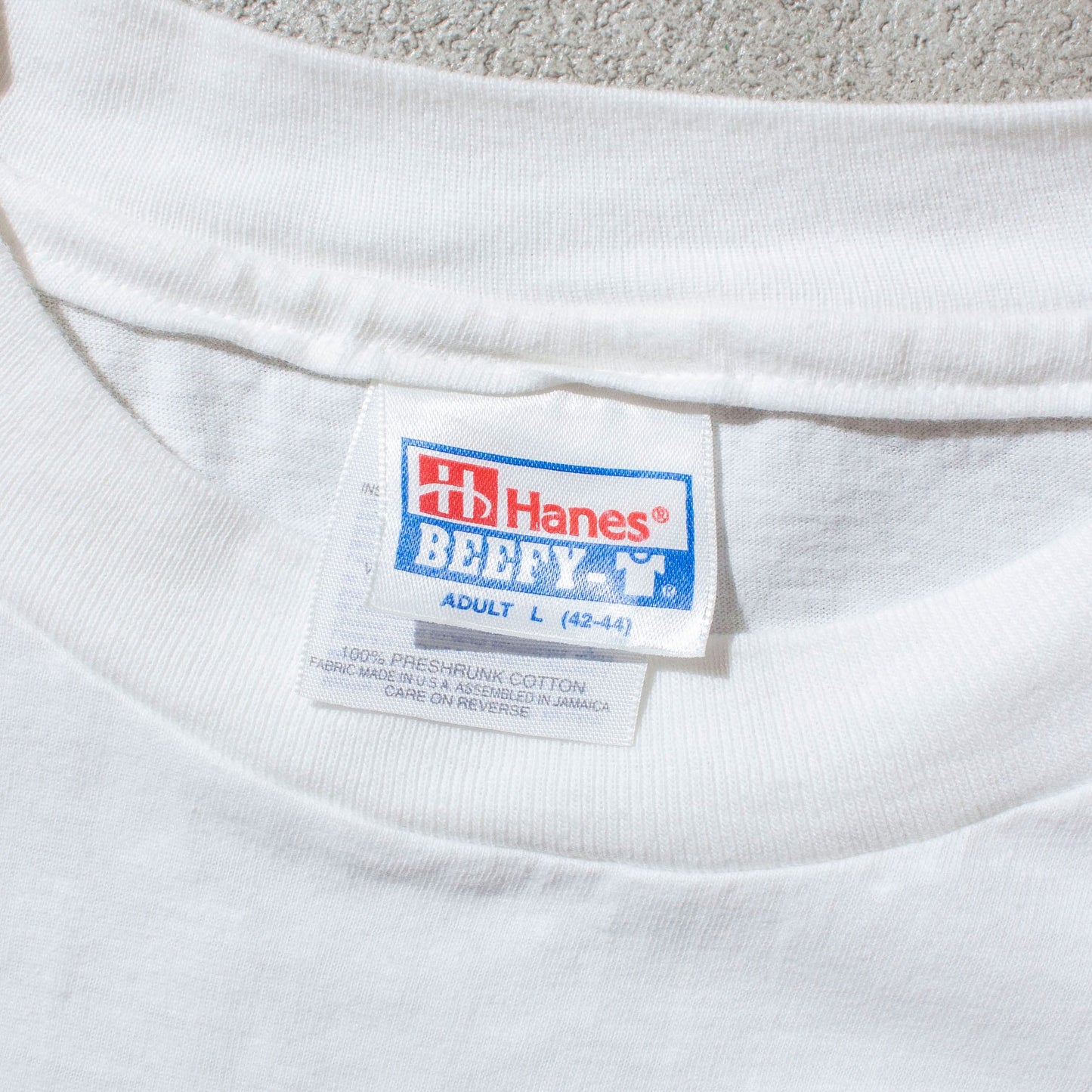 Hanes 90's Dinofest T-Shirt