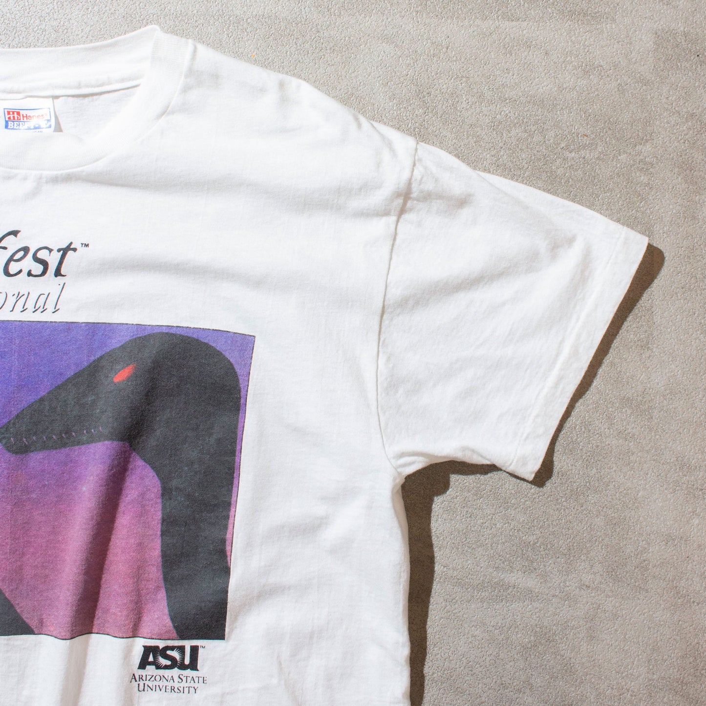 Hanes 90's Dinofest T-Shirt
