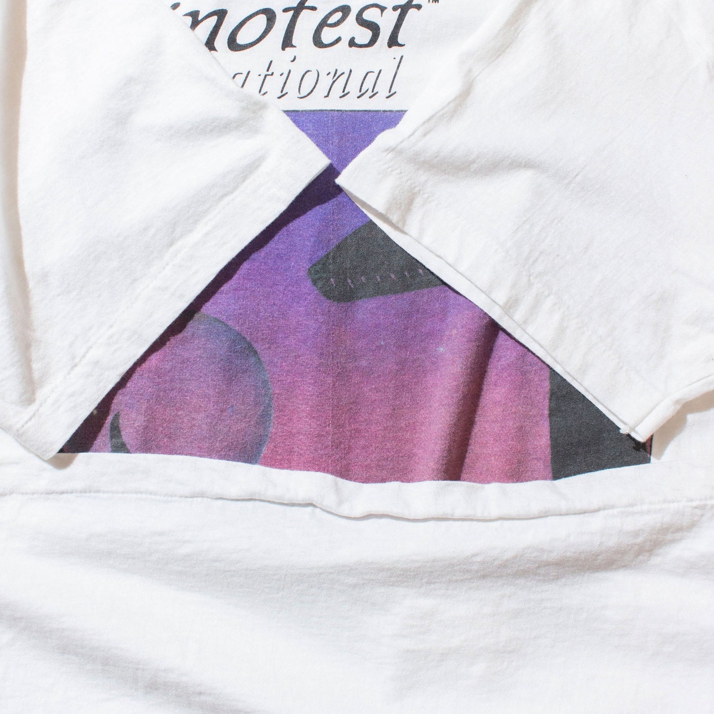 Hanes 90's Dinofest T-Shirt