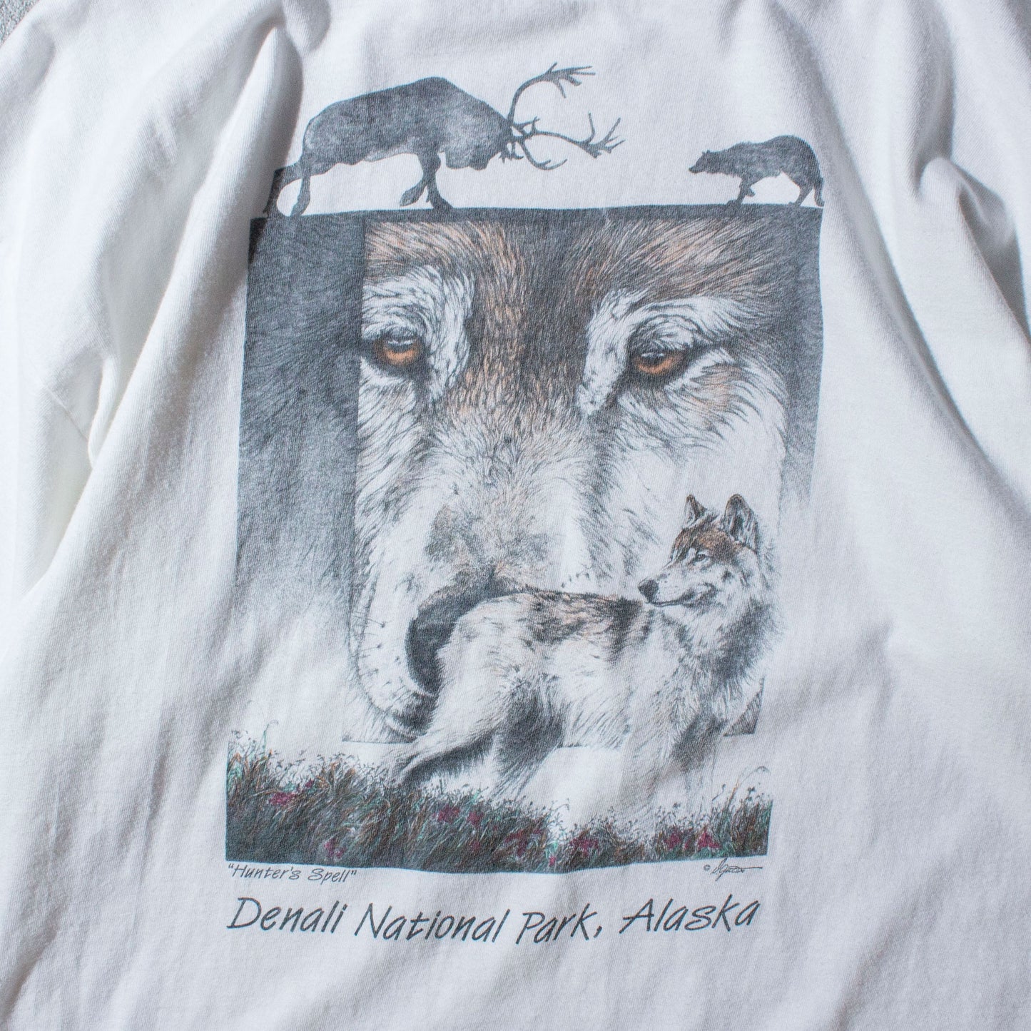 Denali National Park T-Shirt Made in U.S.A.