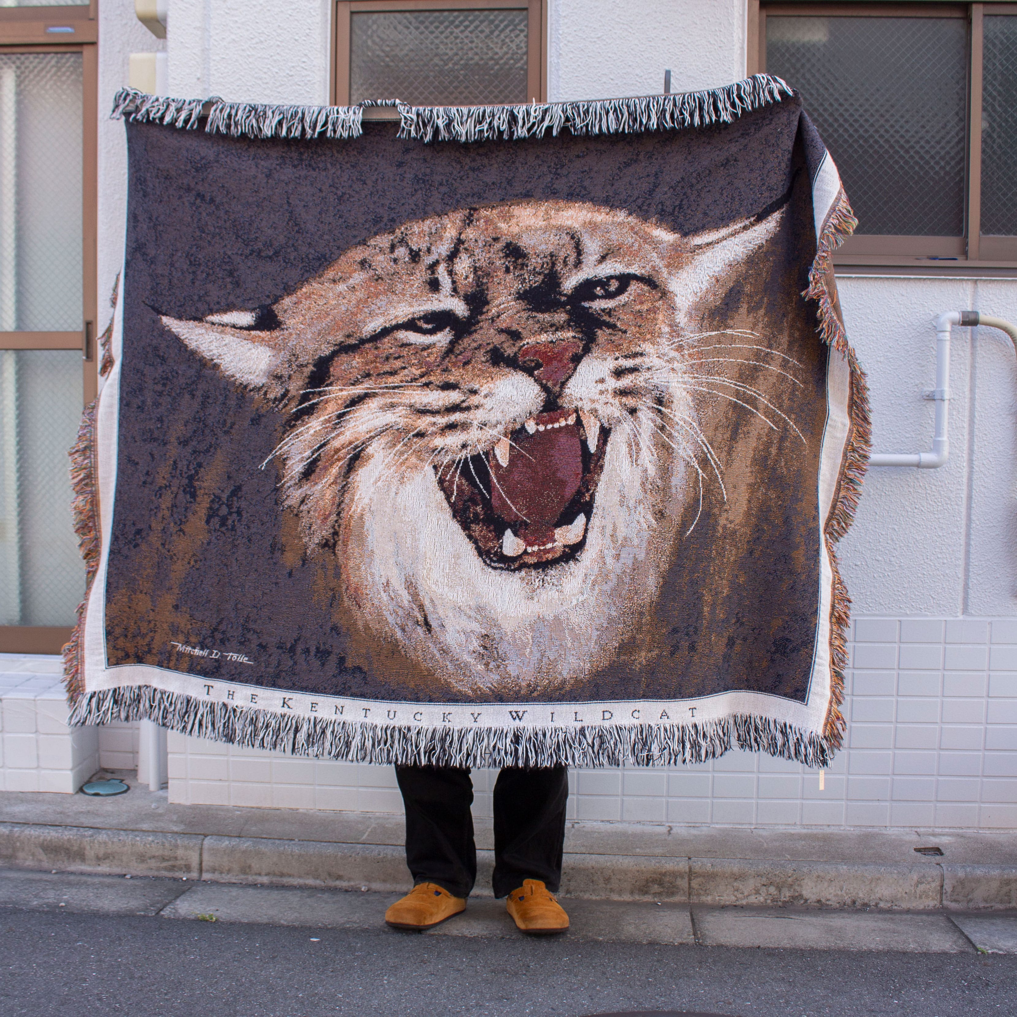 The Kentucky Wild Cat Cotton Blanket – FRAT STORE