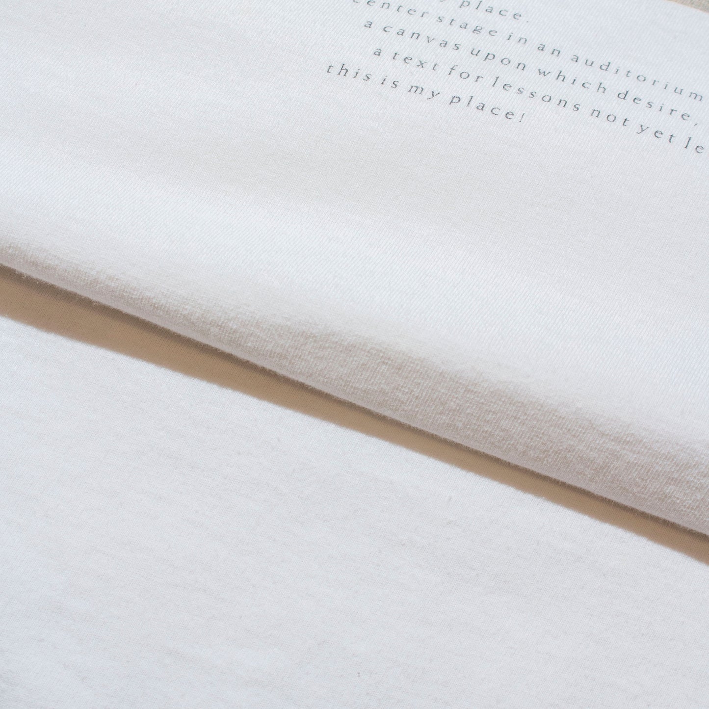 "NO DINX" T-Shirt【XL】