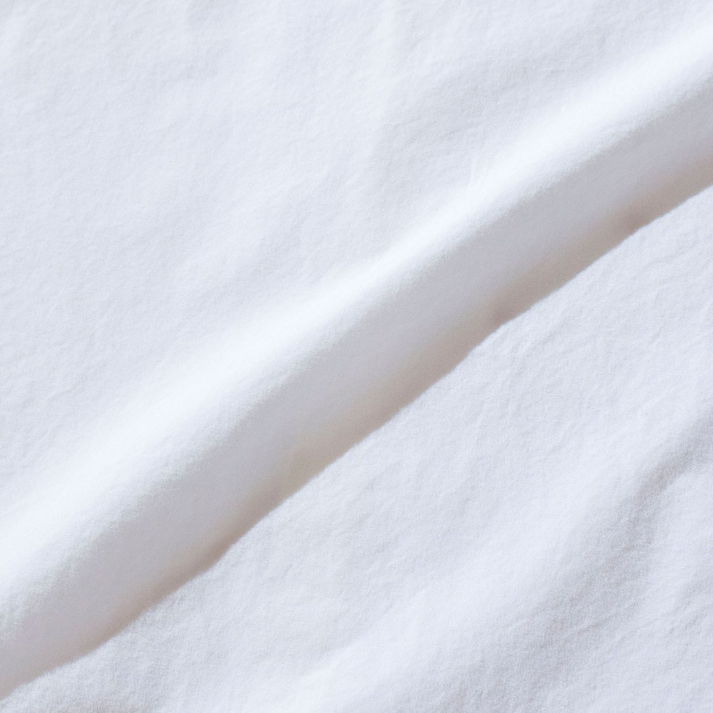 Cotton Poplin Regular Collar Shirt