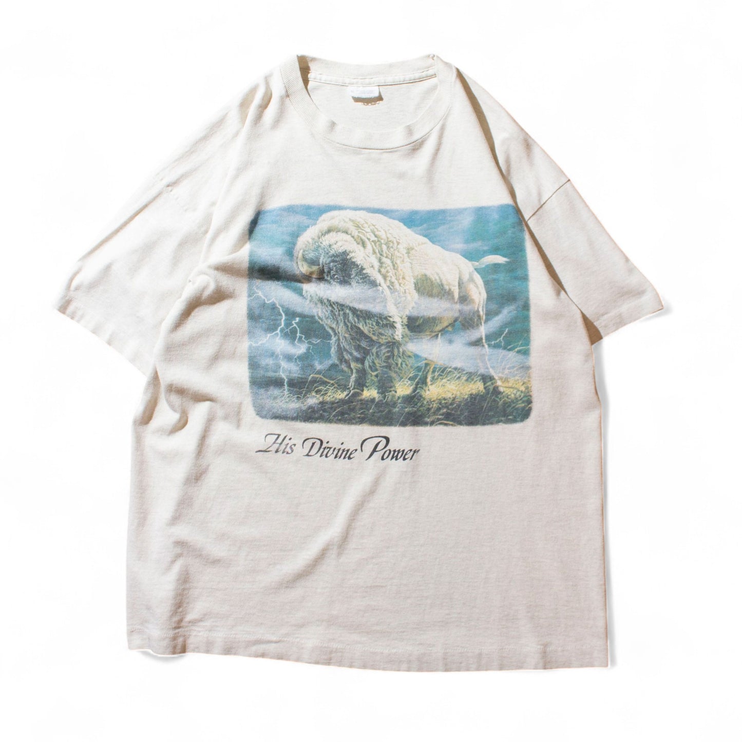 "His Divine Power" T-Shirt