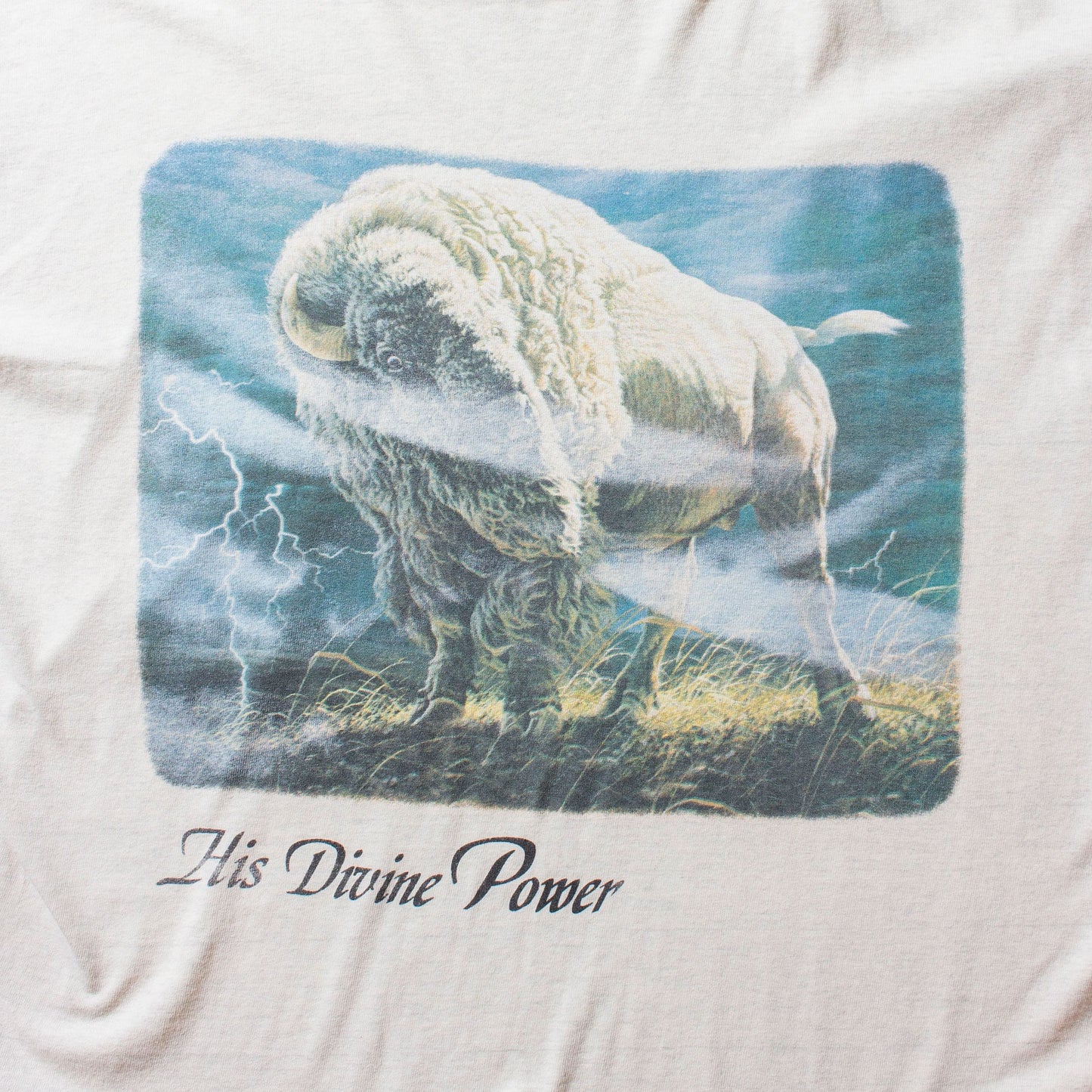 "His Divine Power" T-Shirt