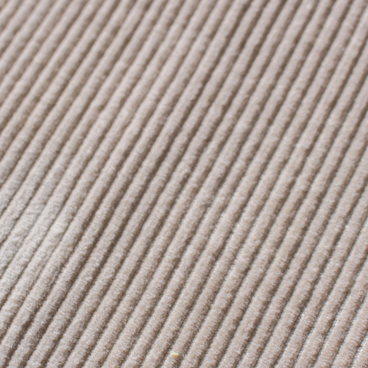 2Tuck Corduroy Pants