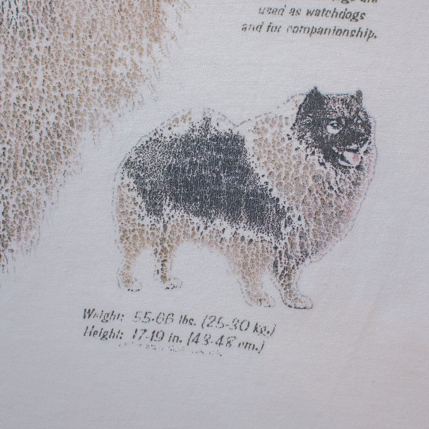 Keeshond dog T-shirt【About XL】