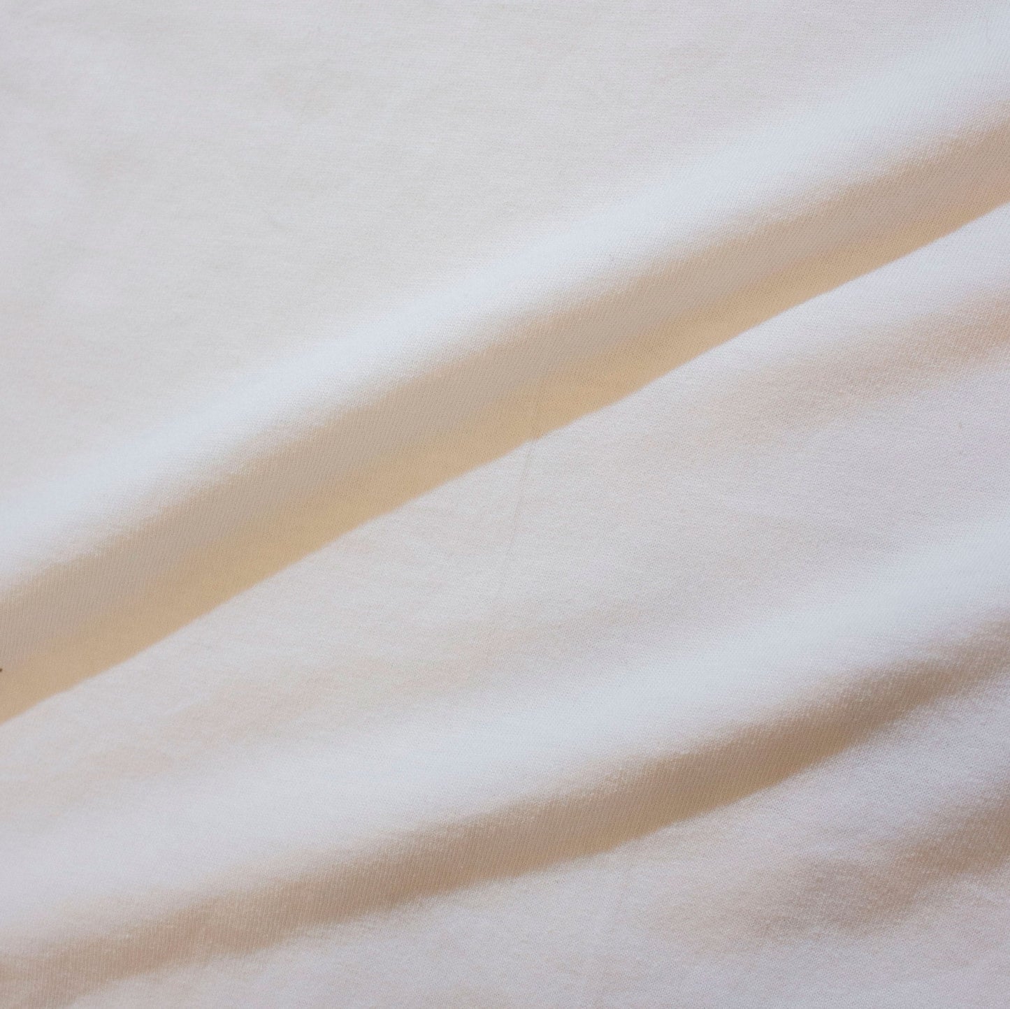 Keeshond dog T-shirt【About XL】