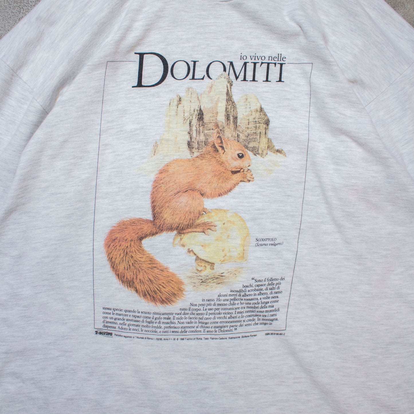 "DOLOMITI" T-Shirt【L】