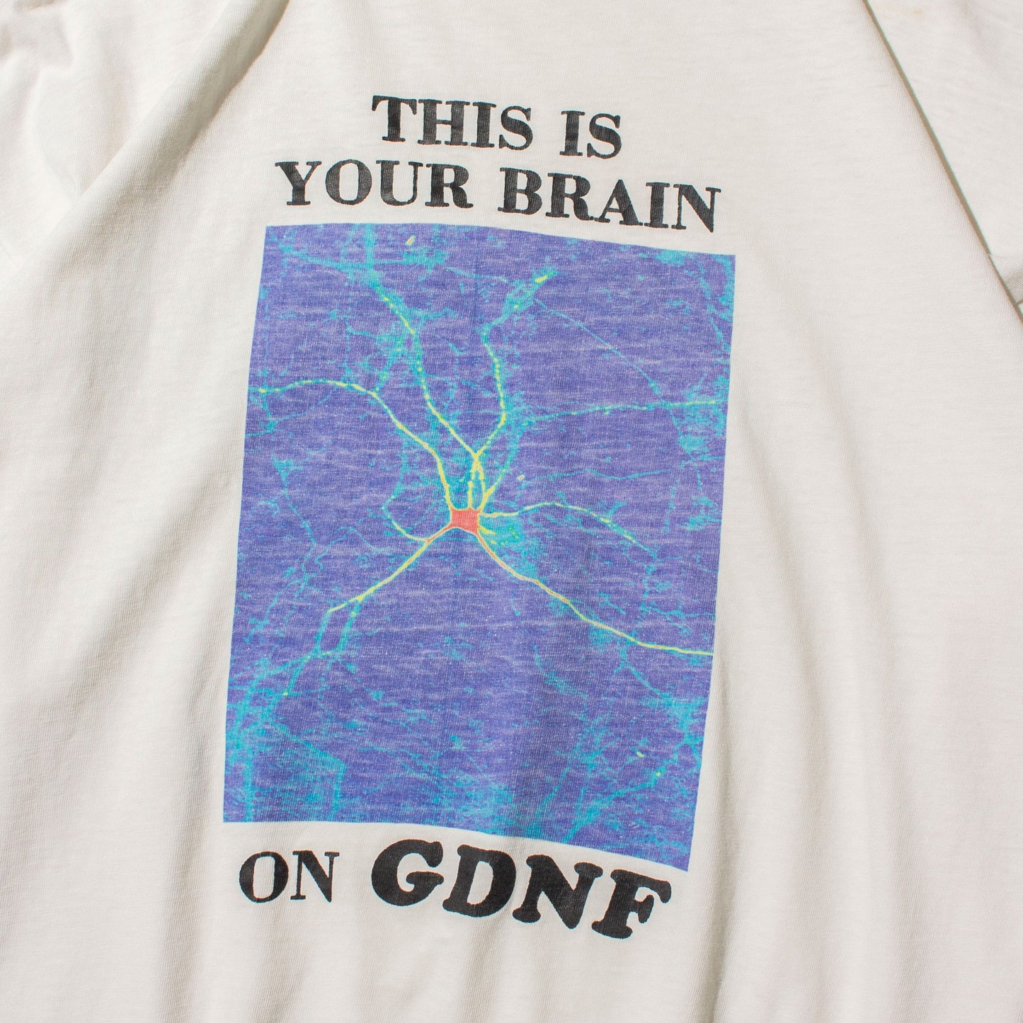 GDNF T-shirt【XL】