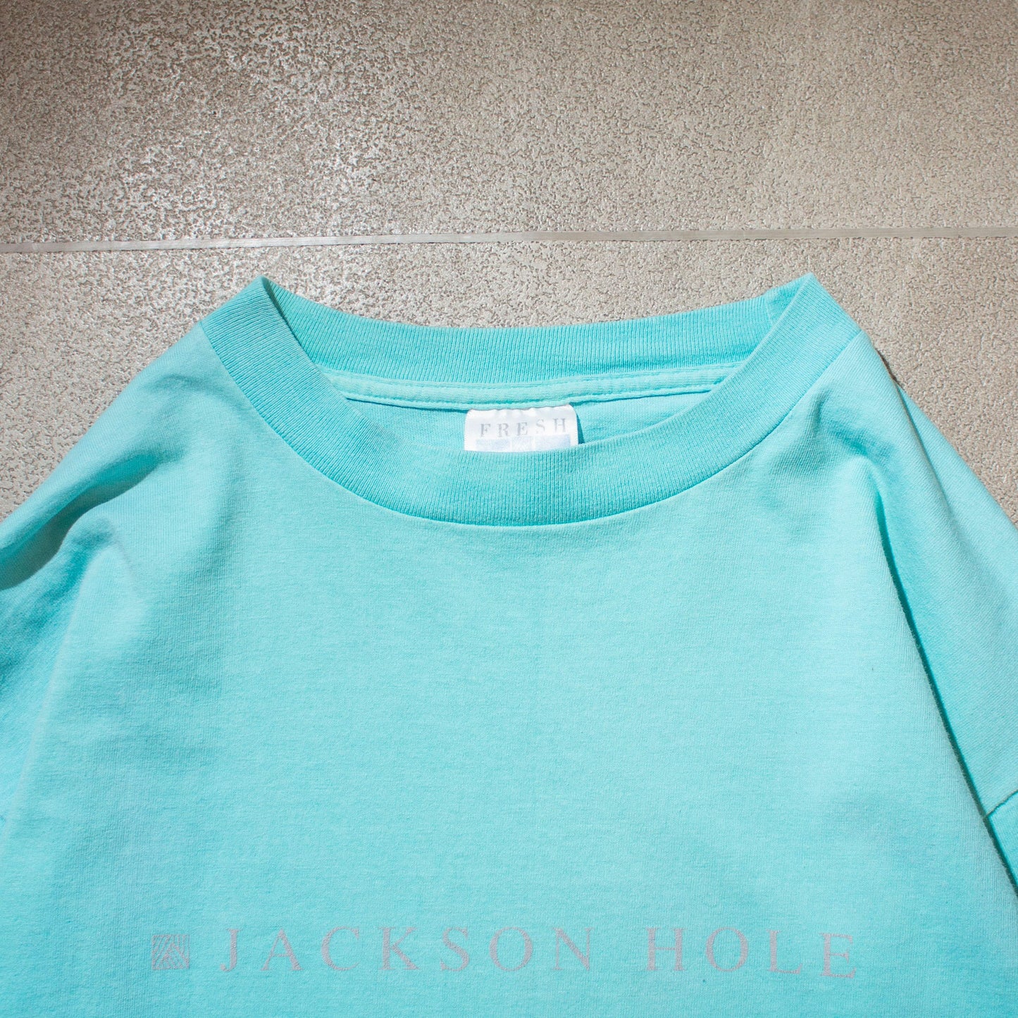 Jackson Hole T-shirt Made in U.S.A.【L】