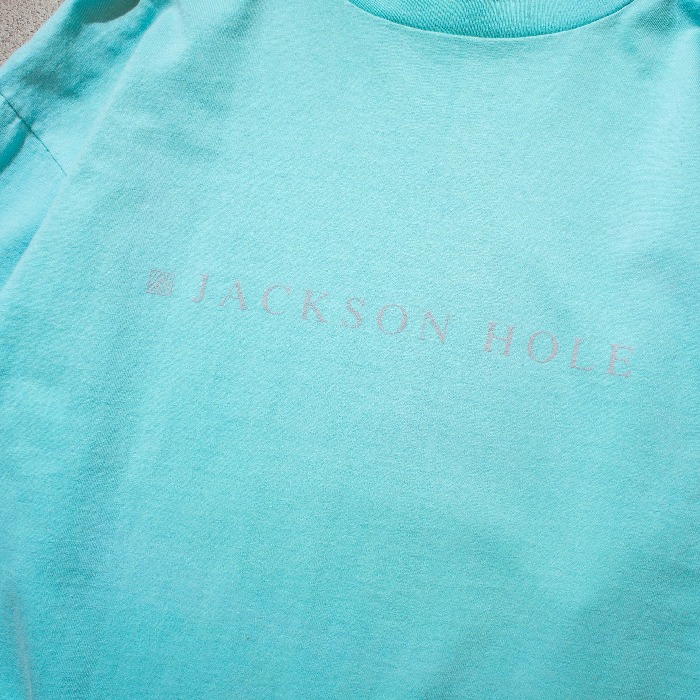 Jackson Hole T-shirt Made in U.S.A.【L】