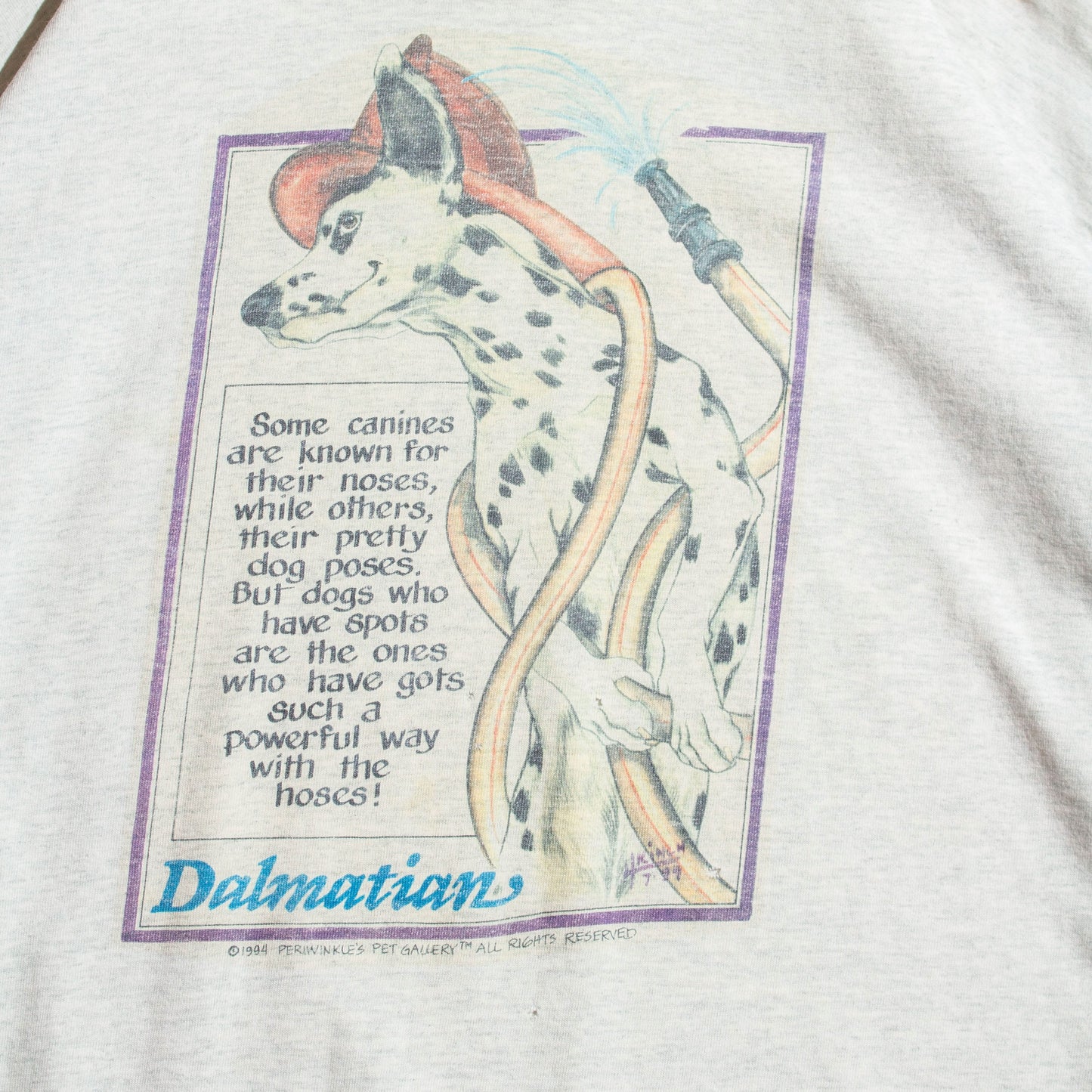 Dalmatian T-shirt【XL】