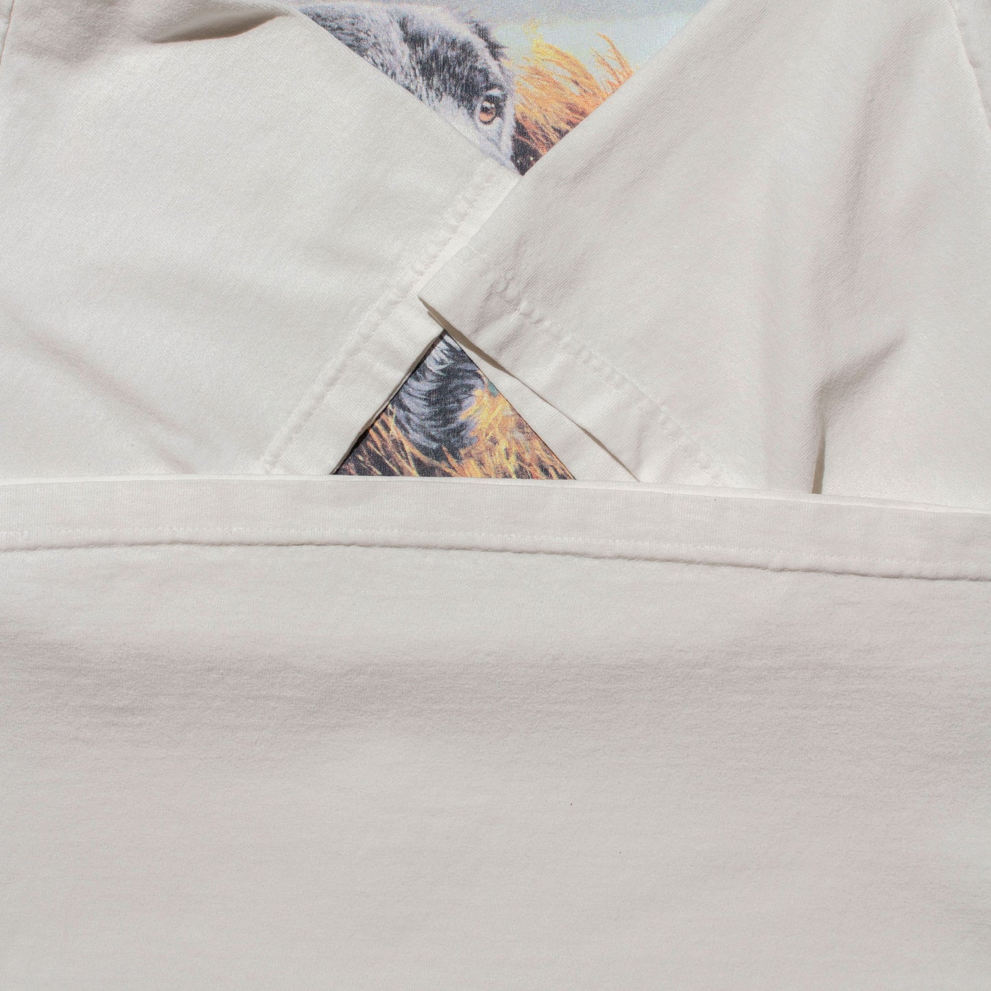 Ducks Unlimited T-shirt【XL】