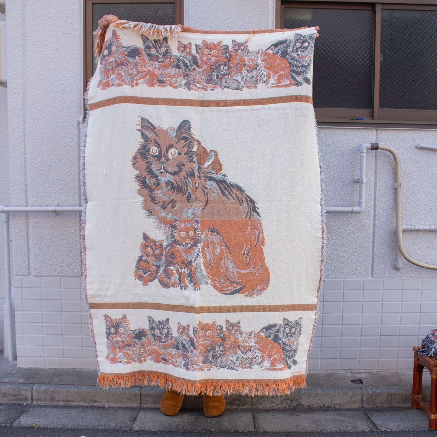 Longhair Cat Cotton Blanket