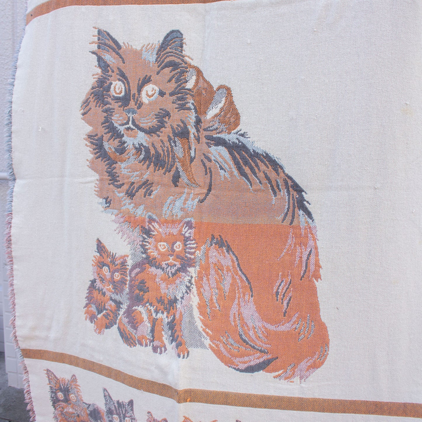 Longhair Cat Cotton Blanket