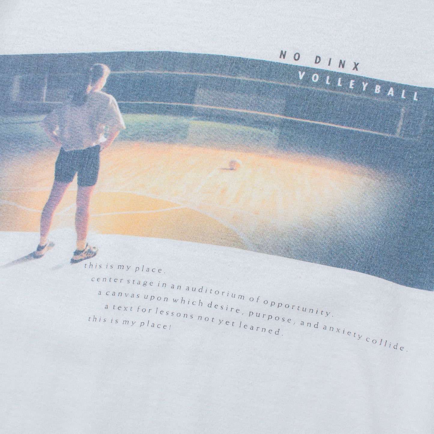 "NO DINX" T-Shirt【XL】