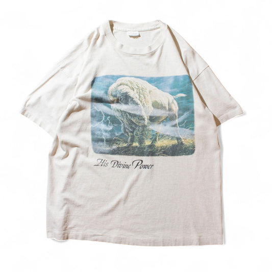 "His Divine Power" T-Shirt