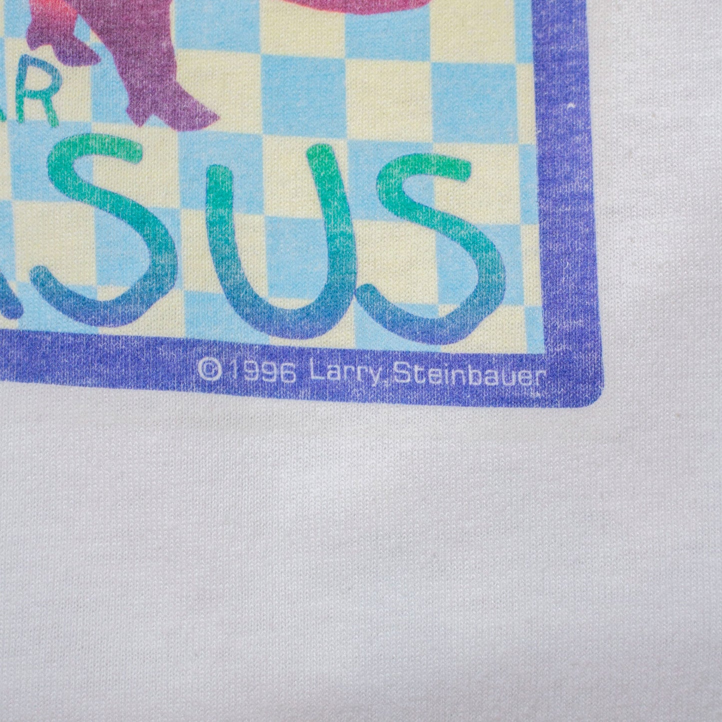 PIGASAS T-shirt【XL】