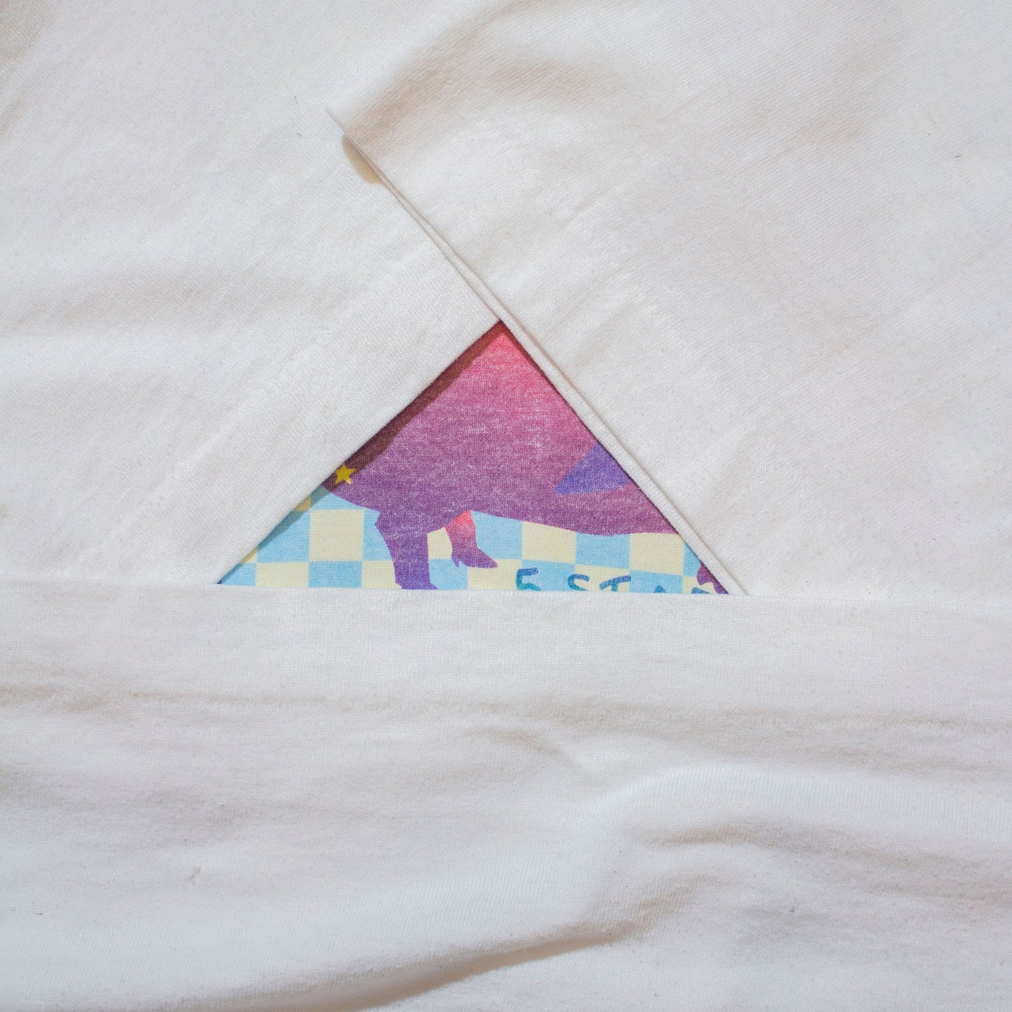 PIGASAS T-shirt【XL】