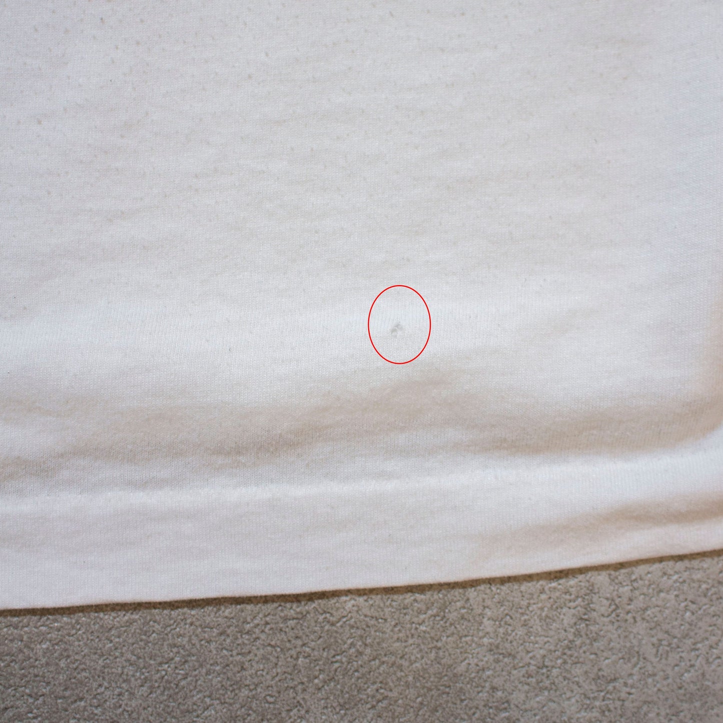 PIGASAS T-shirt【XL】