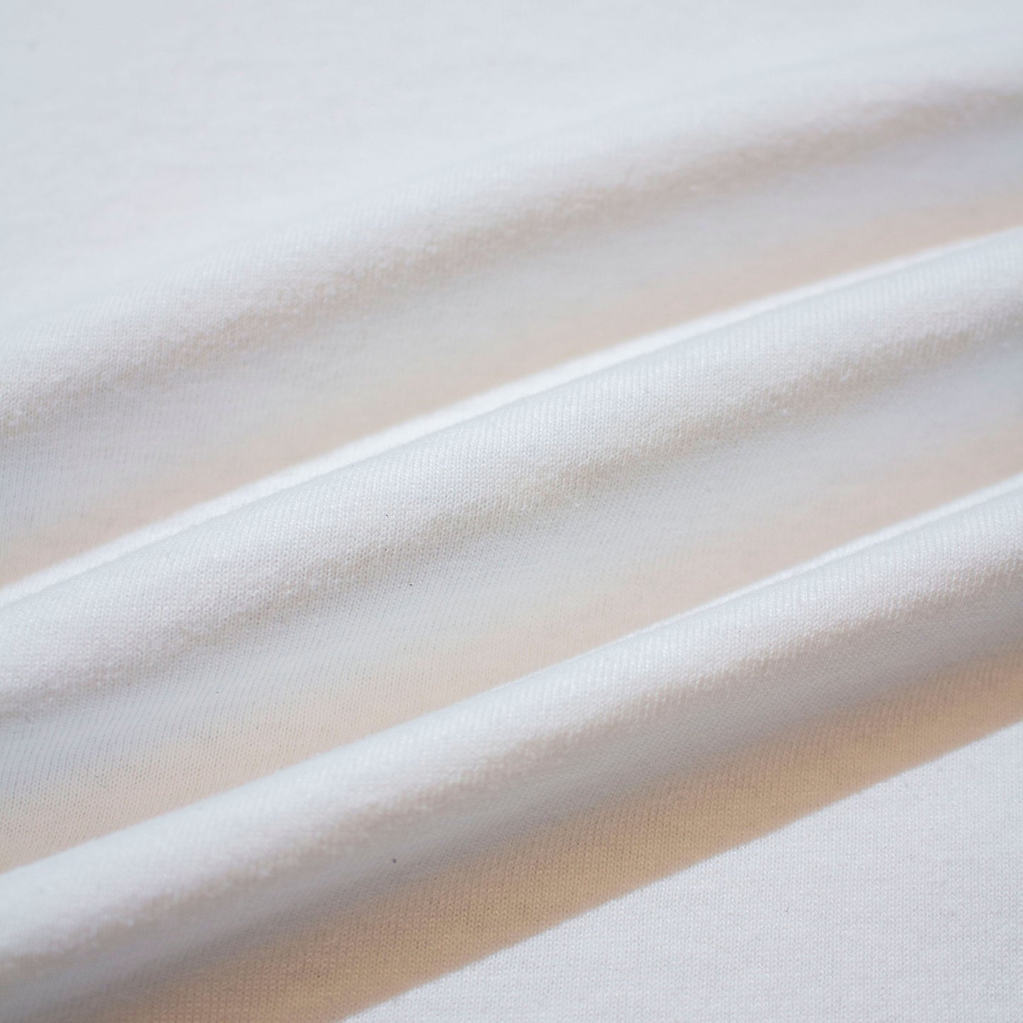 PIGASAS T-shirt【XL】