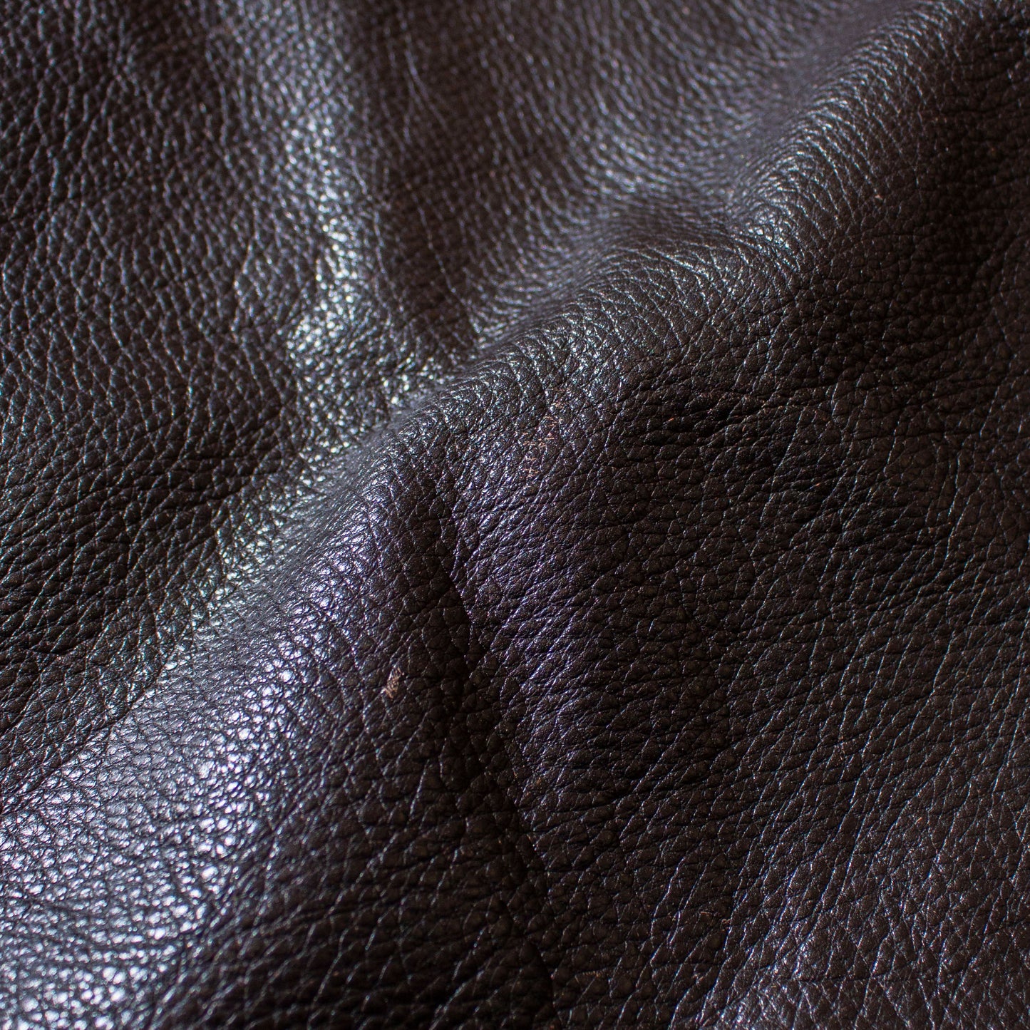 Lether Jacket